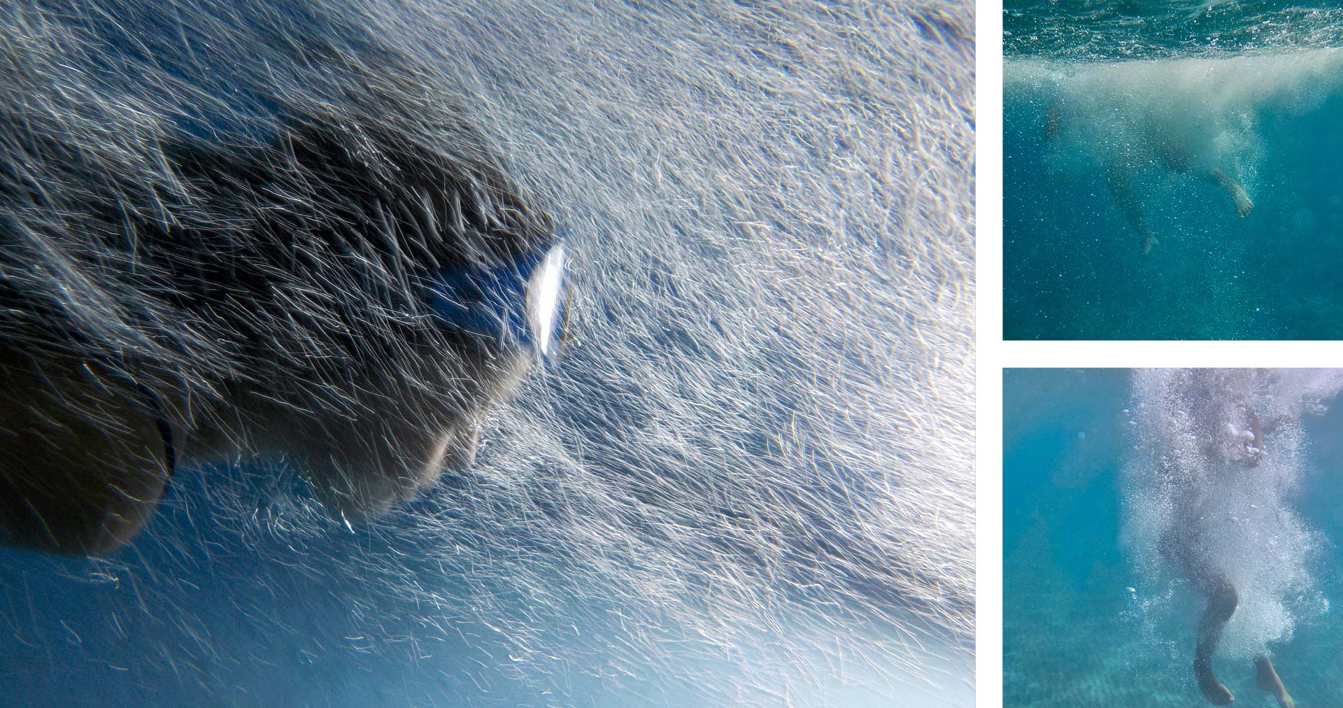 Photographie sous-marine – Grèce